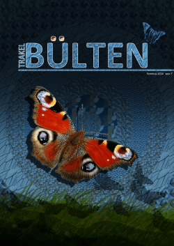 kelebek g&ouml;zlem raporu