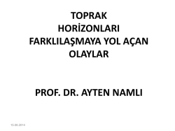 TOPRAK PROFİLİ HORİZONLAR