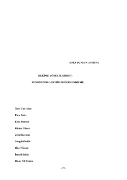 hekime y&ouml;nelik şiddet : fenomenolojik bir