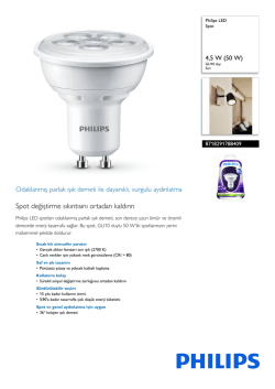 8718291788409 Philips Spot