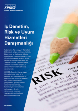 İ&ccedil; Denetim, Risk ve Uyum Hizmetleri Danışmanlığı