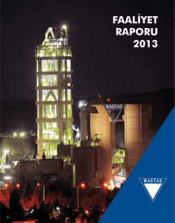 2013 Faaliyet Raporu