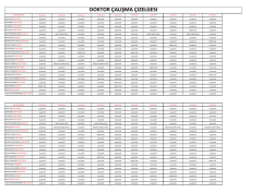 doktor &ccedil;alışma &ccedil;izelgesi