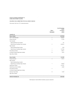 Finansal Tablolar ve Dipnotlar