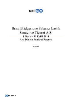 Brisa Bridgestone Sabancı Lastik Sanayi ve Ticaret A.Ş.