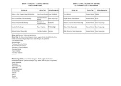 EK-2 Denetim Evreni Excel Şablonu