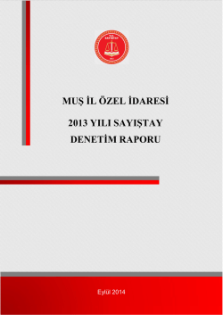 MUġ ĠL &Ouml;ZEL ĠDARESĠ 2013 YILI SAYIġTAY DENETĠM RAPORU
