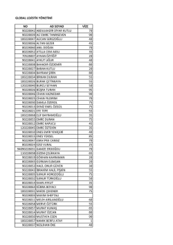 global lojistik y&ouml;netimi no ad soyad vize 90228042
