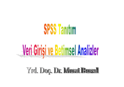 SPSS Tanıtım ve Betimsel Analizler