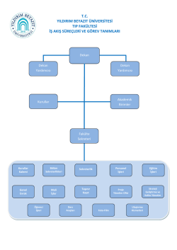 Organizasyon Şeması