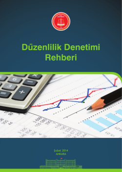D&uuml;zenlilik Denetimi Rehberi V.3