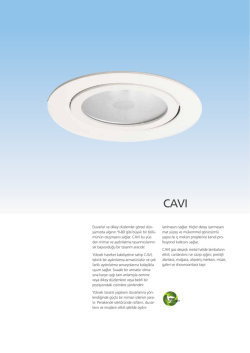 CAVI - EAE Aydınlatma
