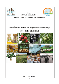 2014 Yılı- 1 D&ouml;nem 6 Aylık Brifing