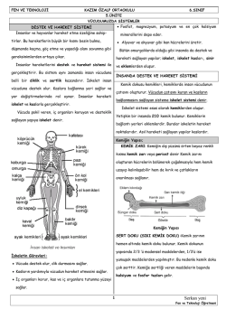 destek_ve_hareket_sistemi_dolasim_solunum