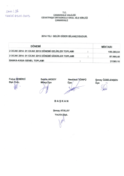 2014 Yılı Okul Aile Birliği Ana Bilanço