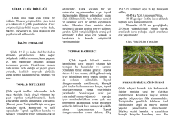 Çilek Yetiştiriciliği - Ankara İl Gıda Tarım ve Hayvancılık Müdürlüğü