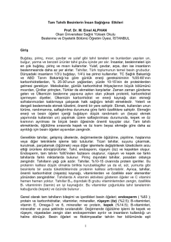 (Flight Dispatcher) (Seviye 5)