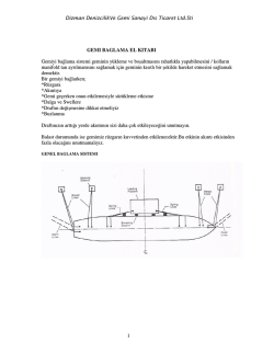Dizman DenizcilikVe Gemi Sanayi Dıs Ticaret Ltd.Sti 1 GEMI