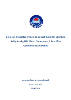 Glikozun Y&uuml;kseltgenmesinde Y&uuml;ksek Katalitik Etkinliğe Sahip Au-Ag
