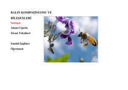BALIN KOMPOZ SYONU VE B LE ŞENLER