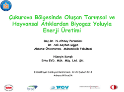 Tarımsal ve Hayvansal Atıklardan Biyogaz ve Enerji Üretimi