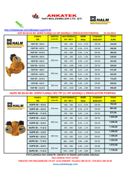 HUPD 40-50-65-80- SERİSİ FLANŞLI İKİZ TİP (11 MT BASINÇLI
