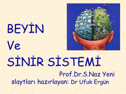 Prof. Dr. Seher Naz YENİ - İ.&Uuml;. Cerrahpaşa Tıp Fak&uuml;ltesi