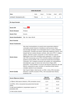 İnternet Programcılığı