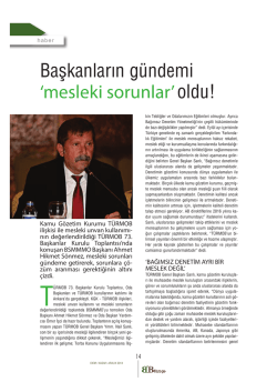 mesleki sorunlar - Bursa SMMM Odası