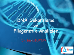 DNA Dizileme ve Filogenetik Analizler