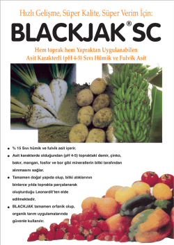 blackjak sc