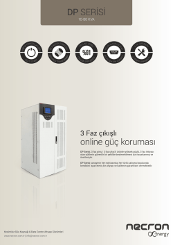 DP SERİSİ online g&uuml;&ccedil; koruması