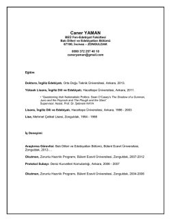 CV Template : Academic Careers - B&uuml;lent Ecevit &Uuml;niversitesi Fizik