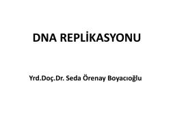 DNA REPLİKASYONU