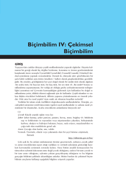 Biçimbilim IV: Çekimsel Biçimbilim