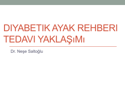 Diyabetik Ayak Rehberi