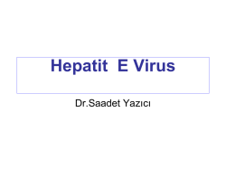 Saadet Yazıcı Hepatit E virus:g&ouml;zden ge&ccedil;irme