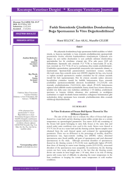 Bu PDF dosyasını indir