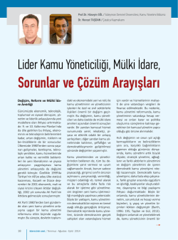 Lider Kamu Y&ouml;neticiliği, M&uuml;lki İdare, Sorunlar ve &Ccedil;&ouml;z&uuml;m Arayışları