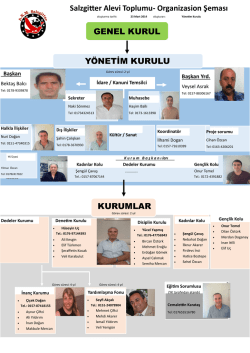 Organizasyon Şeması