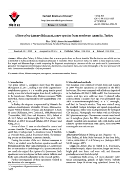 Allium efeae (Amaryllidaceae), a new species from