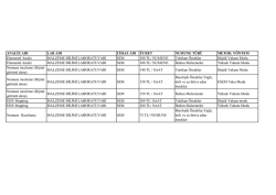 Analiz Fiyat Listesi PDF