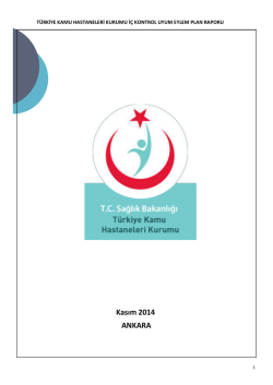 İ&ccedil; Kontrol Standartları Uyum Eylem Plan Raporu