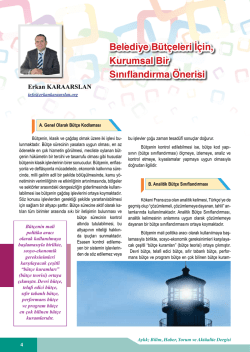 Belediye B&uuml;t&ccedil;eleri İ&ccedil;in, Kurumsal Bir Sınıflandırma &Ouml;nerisi