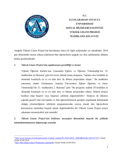 AIU MBA Program_Bitirme Projesi Klavuzu