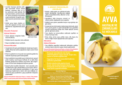 5. KIRMIZI ÖRÜMCEKLER (AKARLAR)