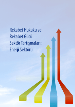 Enerji Sekt&ouml;r&uuml;
