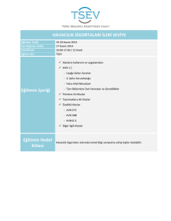 Havacılık Sigortaları İleri Seviye