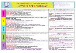 MİNİK SİNCAPLAR 29