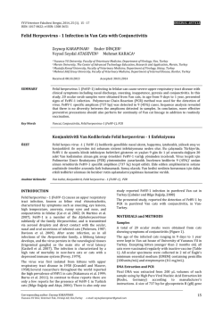 Felid Herpesvirus - 1 Infection in Van Cats with Conjunctivitis